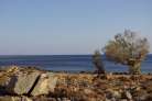 Kreta